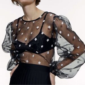 Zara Embroidered Polka Dot Organza Top